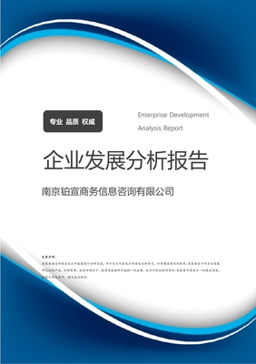 南京鉑宣商務信息咨詢企業發展分析報告